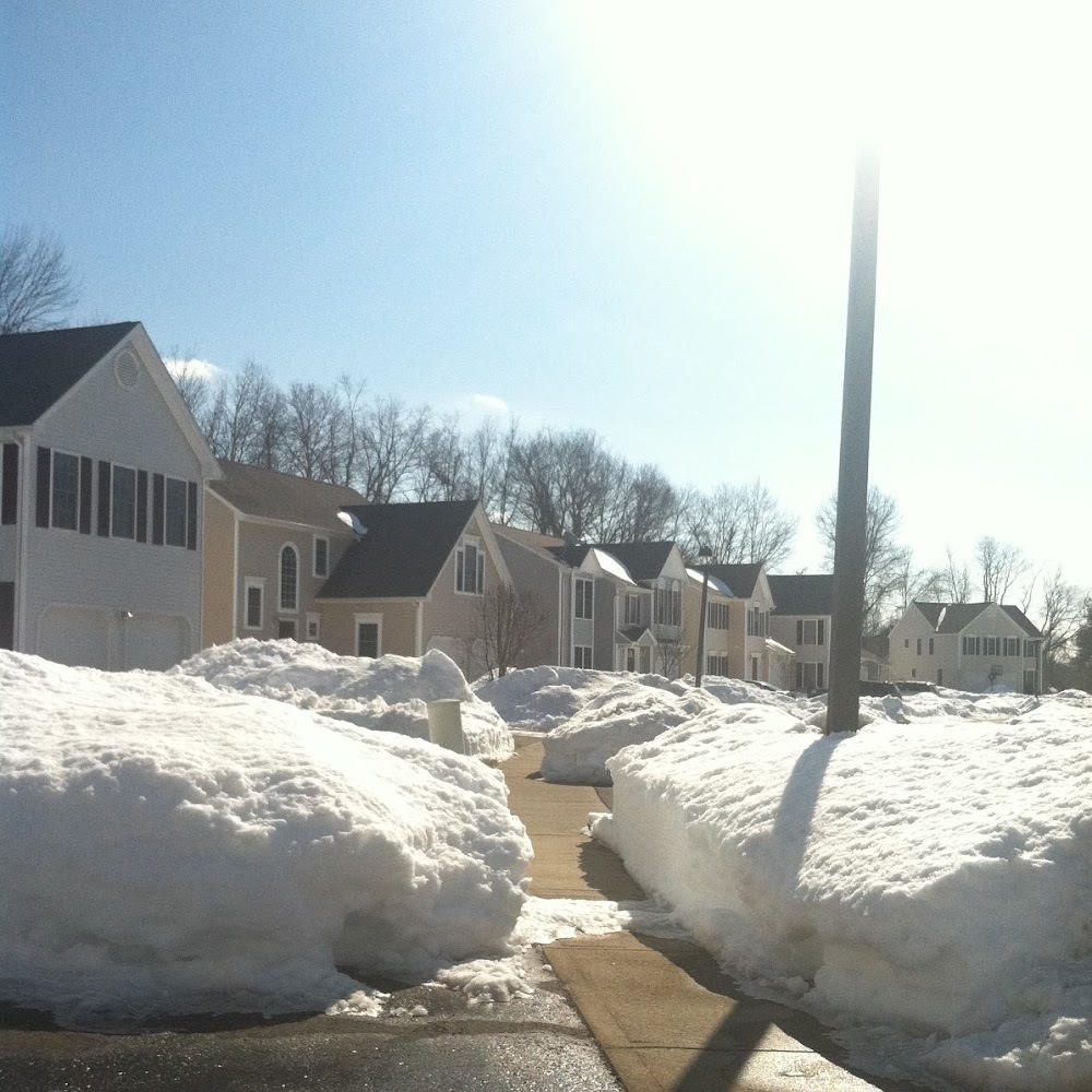 Meet your Posher, Cin